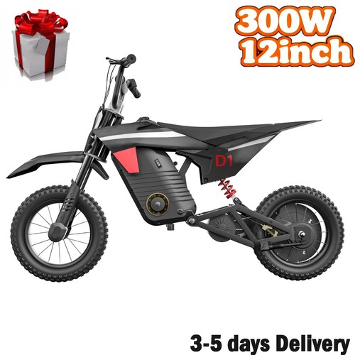 Electric kids dirt - electric, 300w